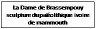 Zone de Texte: La Dame de Brassempouy sculpture du paléolithique ivoire de mammouth    
